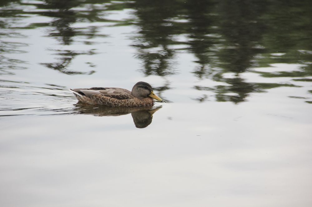 Photograph by Екатерина Мирошникова