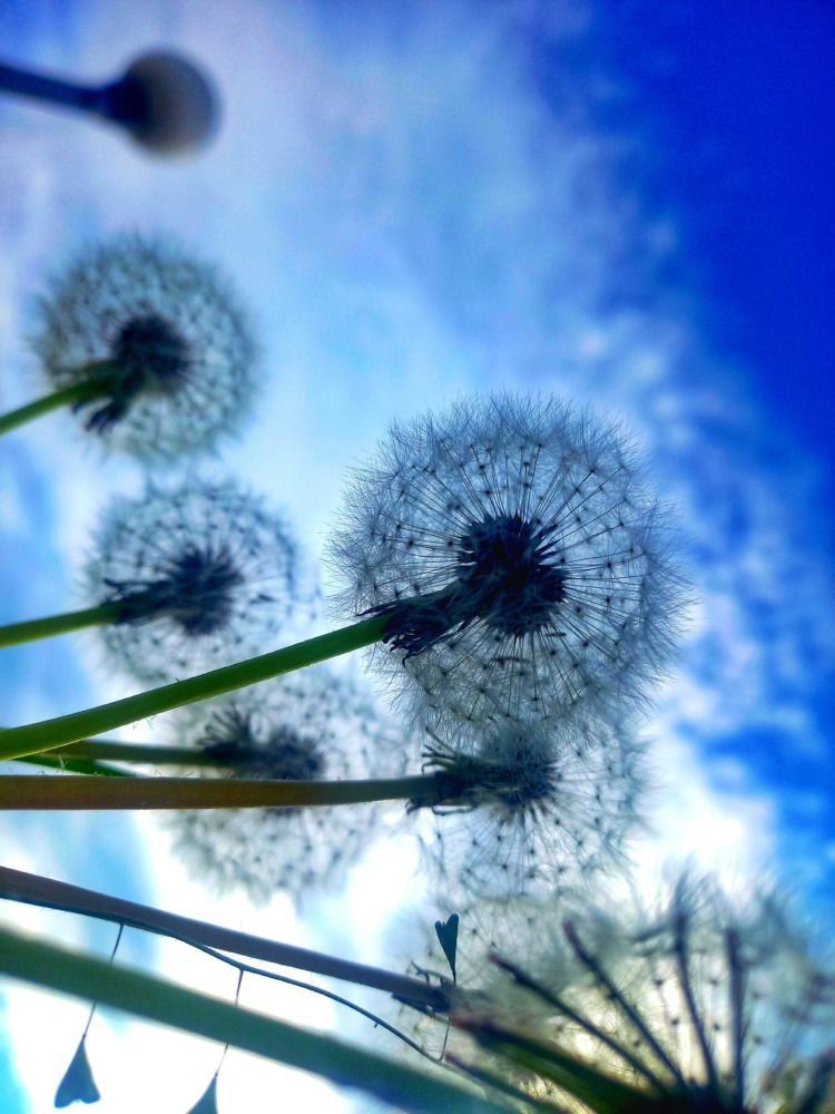 Photograph by Елена Дарьенко