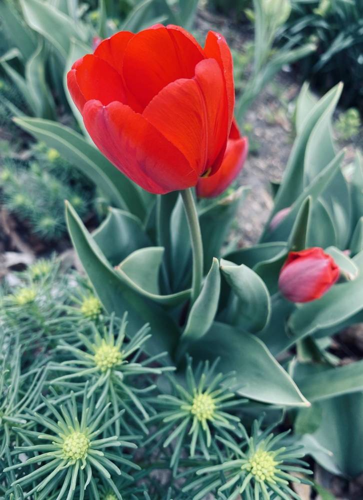 Photograph by Ксения Гулькова