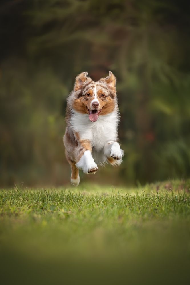 Photograph by Ирина Голомб