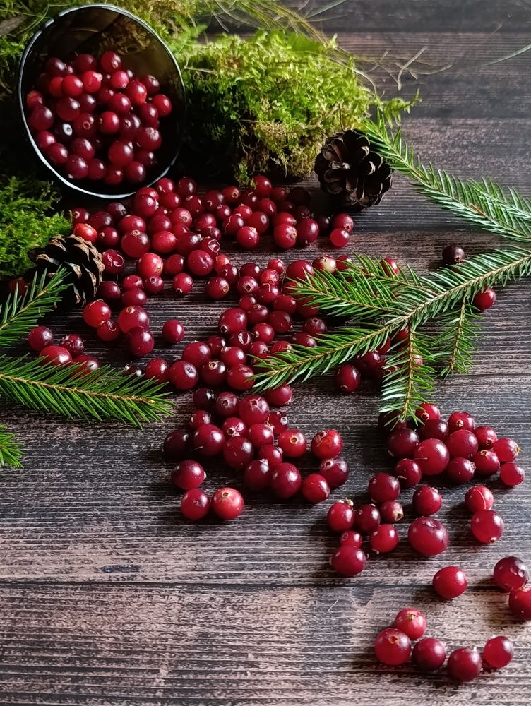 Photograph by Светлана Таркан