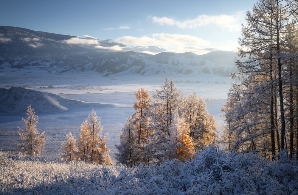 Photograph by Рубан Елена