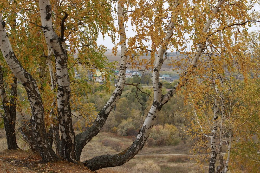 Photograph by Лилия Маяковски