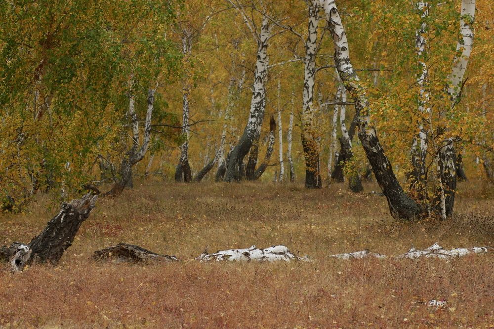 Photograph by Лилия Маяковски