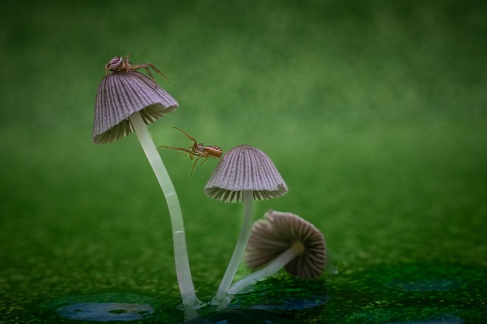 Photograph by Николай Фонарёв