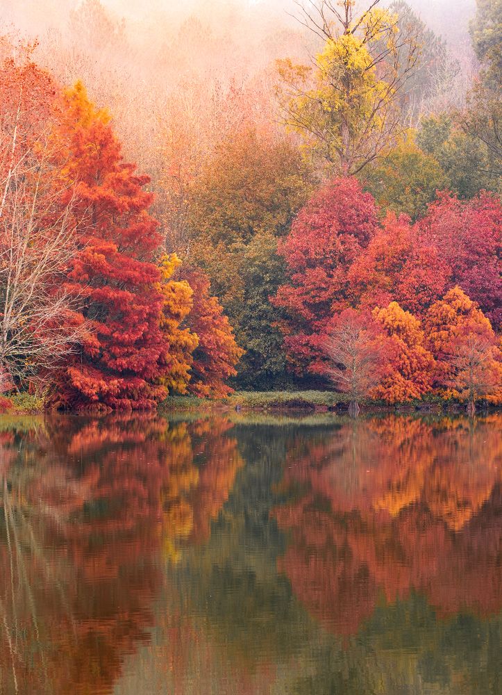 Photograph by Valdir Hobus