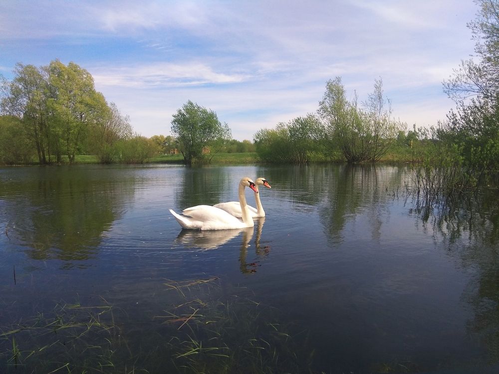 Photograph by Светлана Таркан