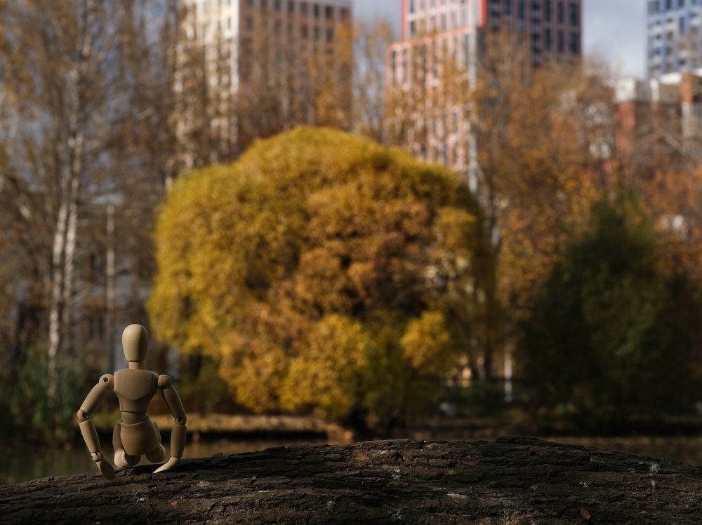 Photograph by Тим Мартынов