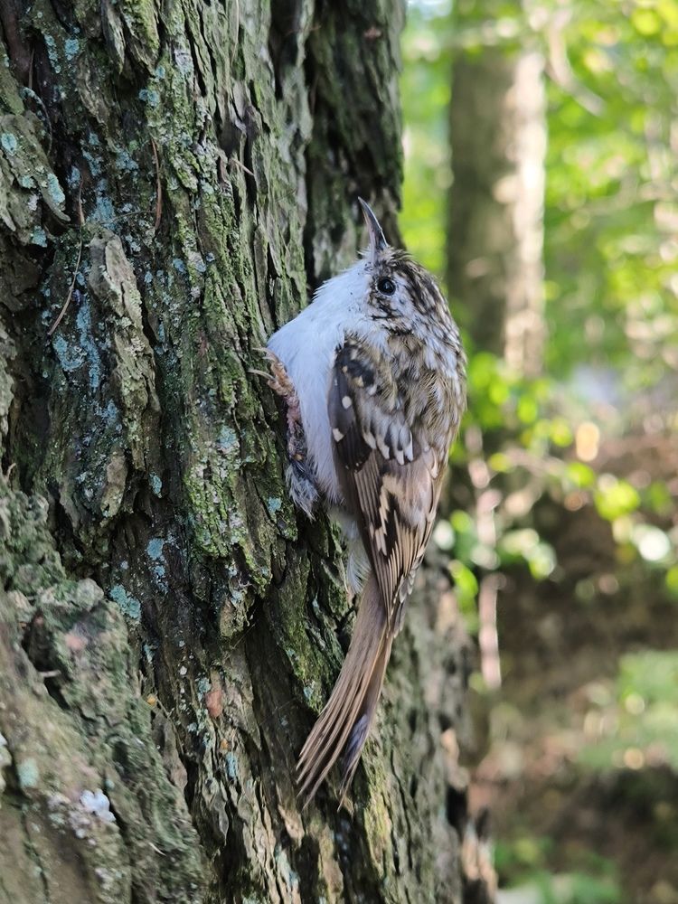 Photograph by Кристина