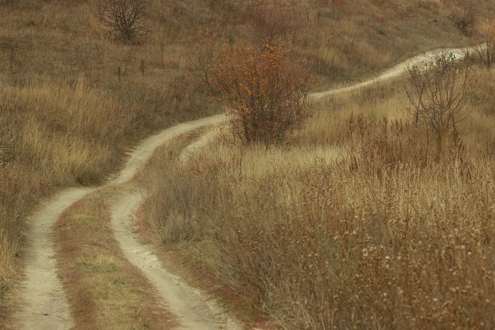 Photograph by Лилия Маяковски