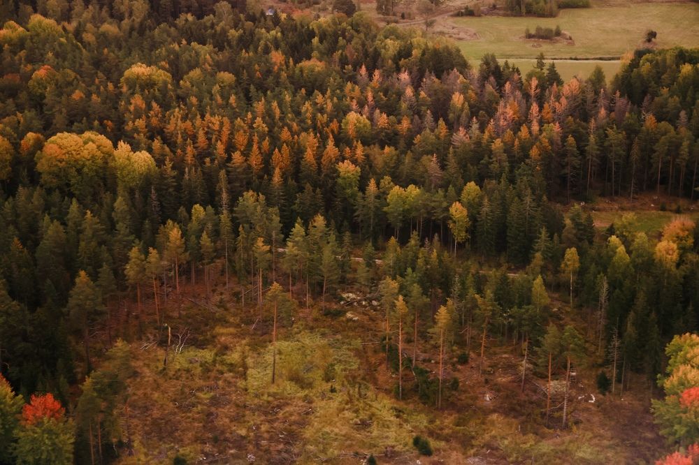 Photograph by Евгения Казакова