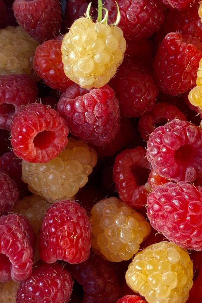 Photograph by Евгения Казакова