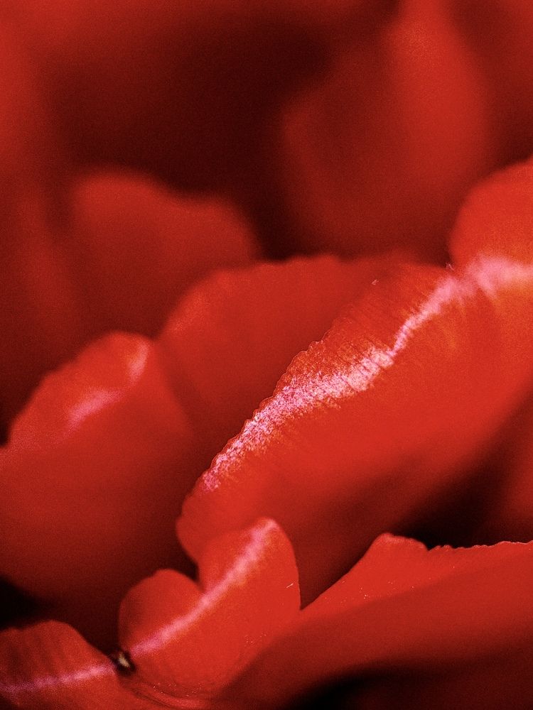 Photograph by Евстратова Оксана