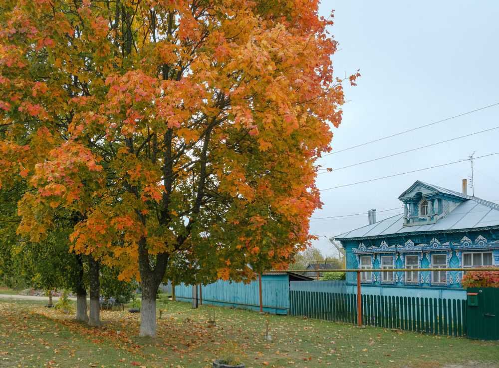 Photograph by Александр Денисов