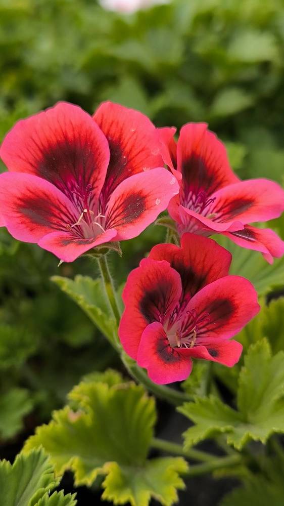 Photograph by Светлана Войта