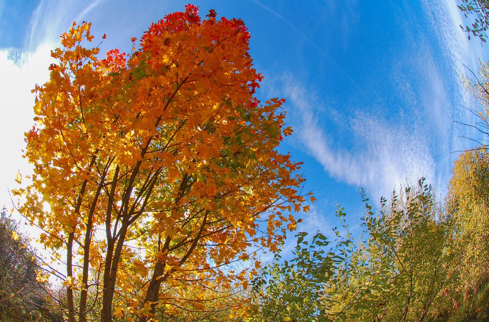 Photograph by Александр Денисов