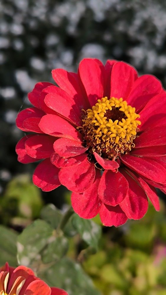 Photograph by Светлана Войта