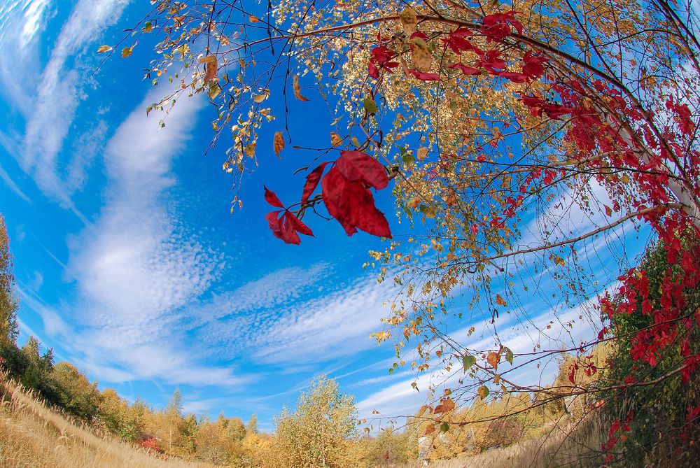 Photograph by Александр Денисов