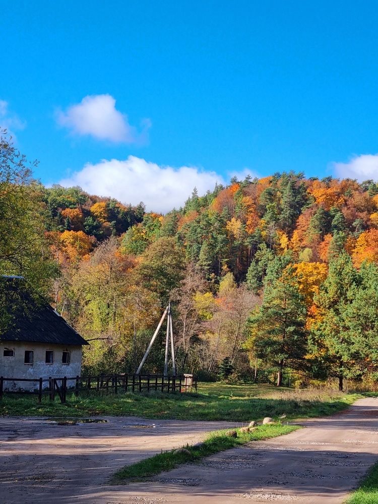 Photograph by Elena Tamošauskaite