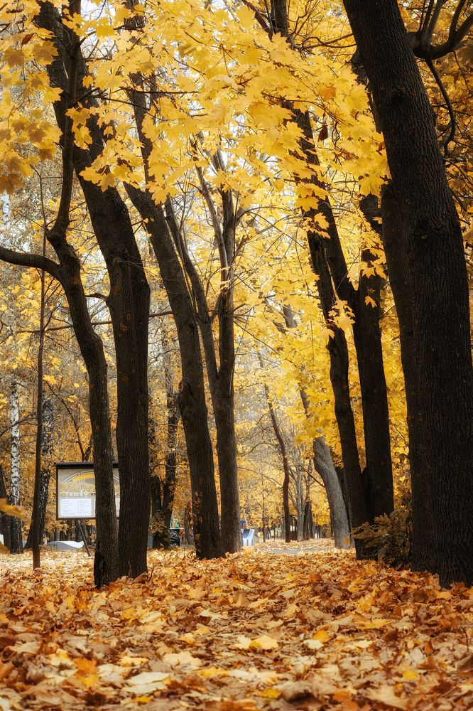 Photograph by Александр Денисов