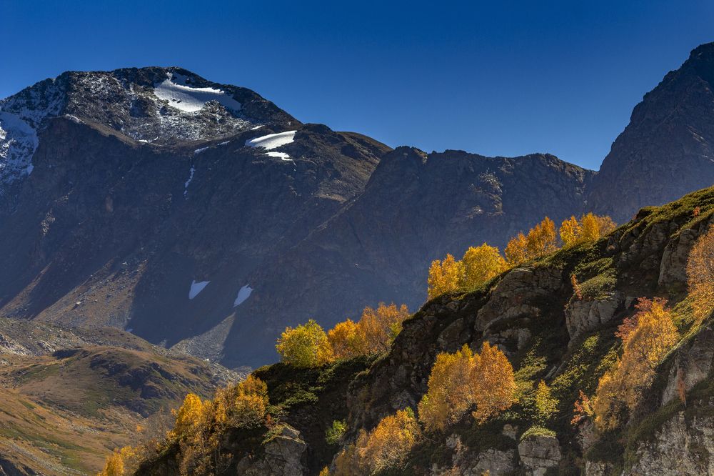 Photograph by Сергей Стратов