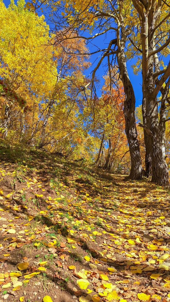 Photograph by Сергей Стратов