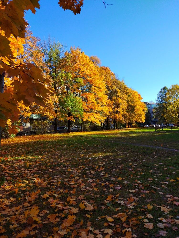 Photograph by Елена Наленч