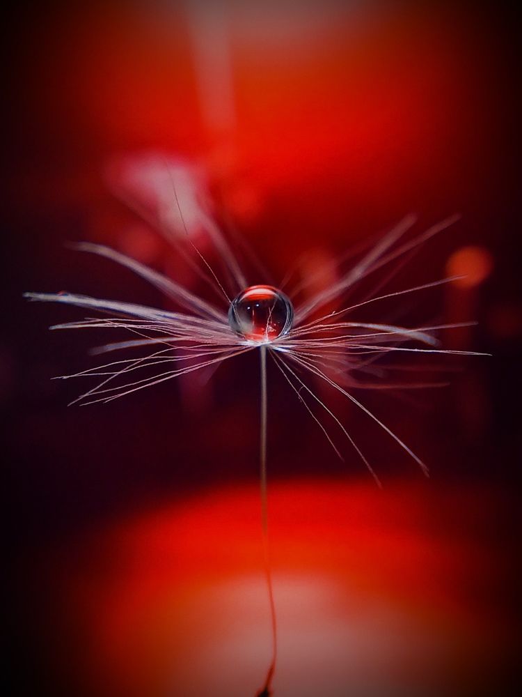 Photograph by Наталья Алексеева