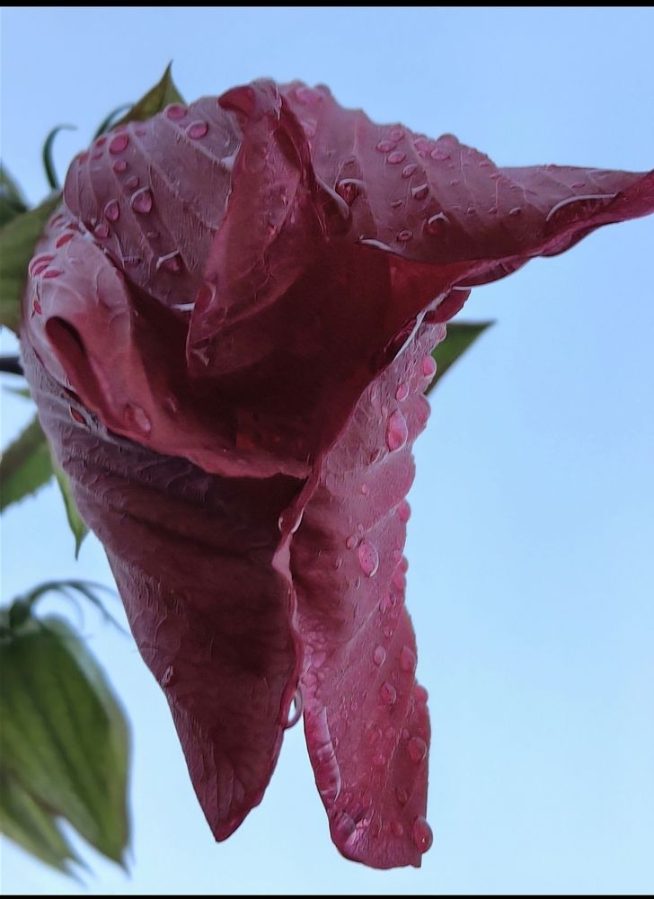 Photograph by Ирина Тихая