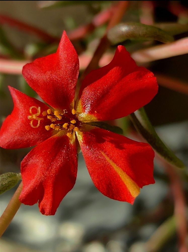 Photograph by Ирина Тихая