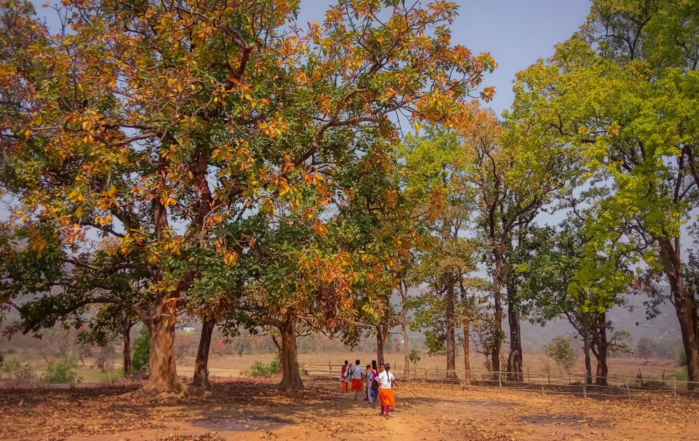 Photograph by Mukesh Kumar Mahato