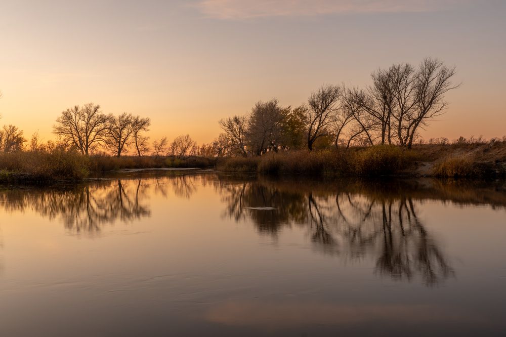 Photograph by Дарья Карамышева