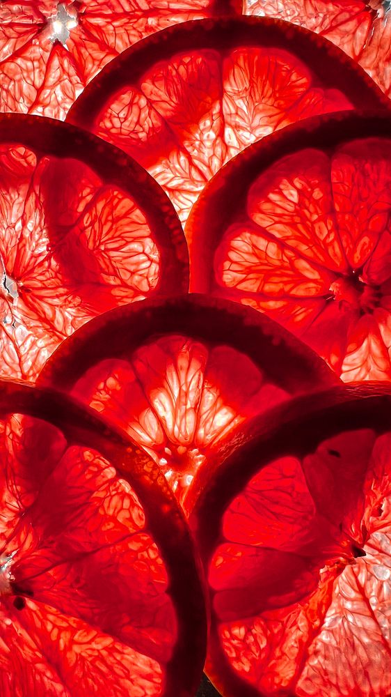 Photograph by Елена Громова