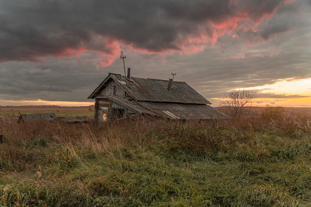 Photograph by Дарья Карамышева