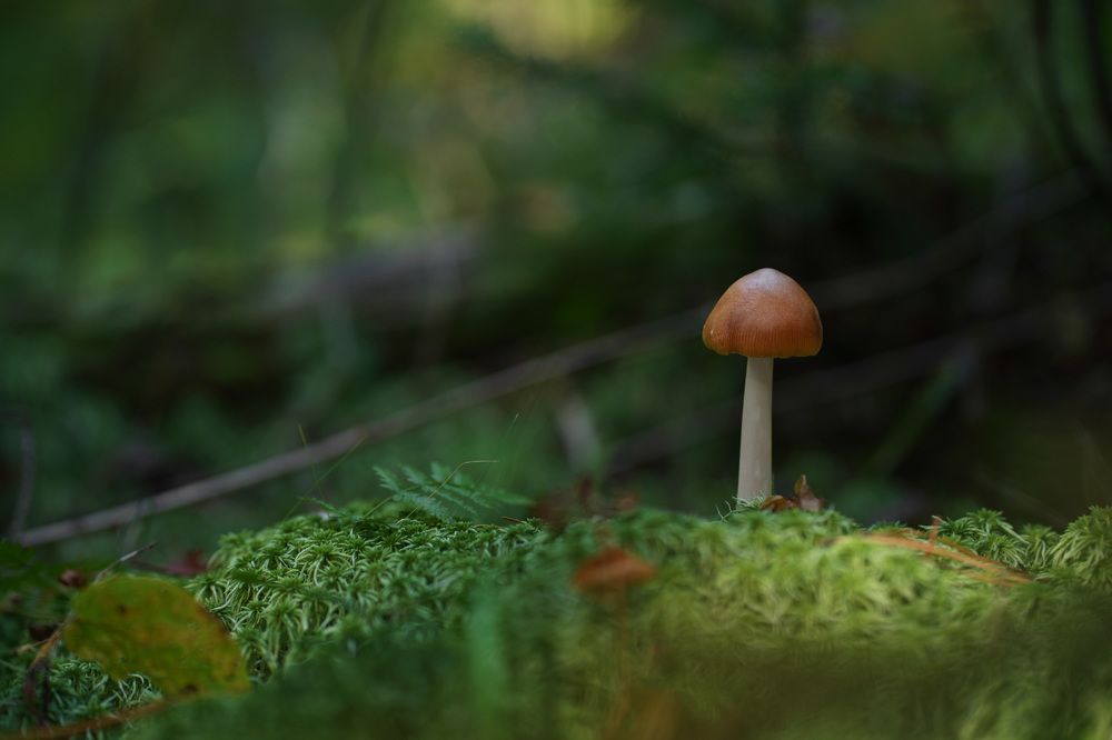 Photograph by Мощенко Сергей