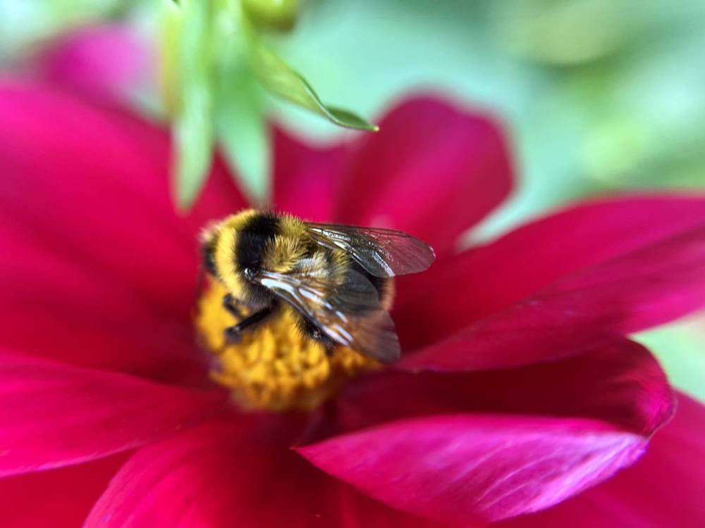 Photograph by Татьяна Михайловна