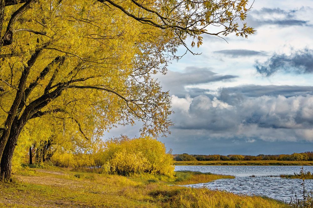 Фотография автора Светлана Разумовская