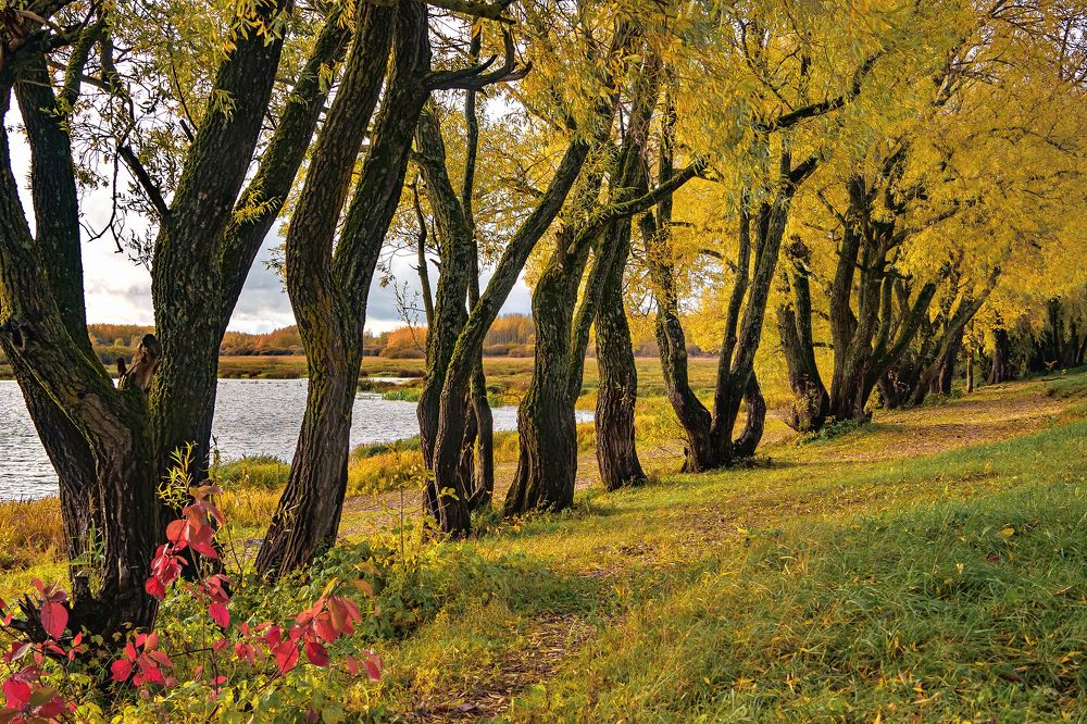 Фотография автора Светлана Разумовская