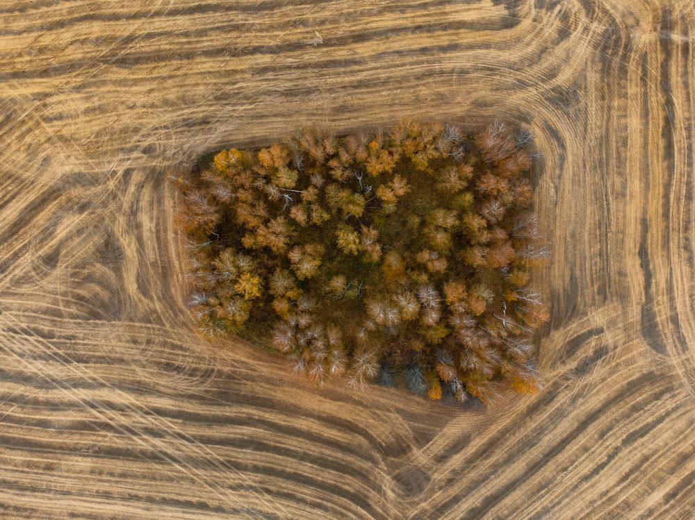 Photograph by Дарья Карамышева