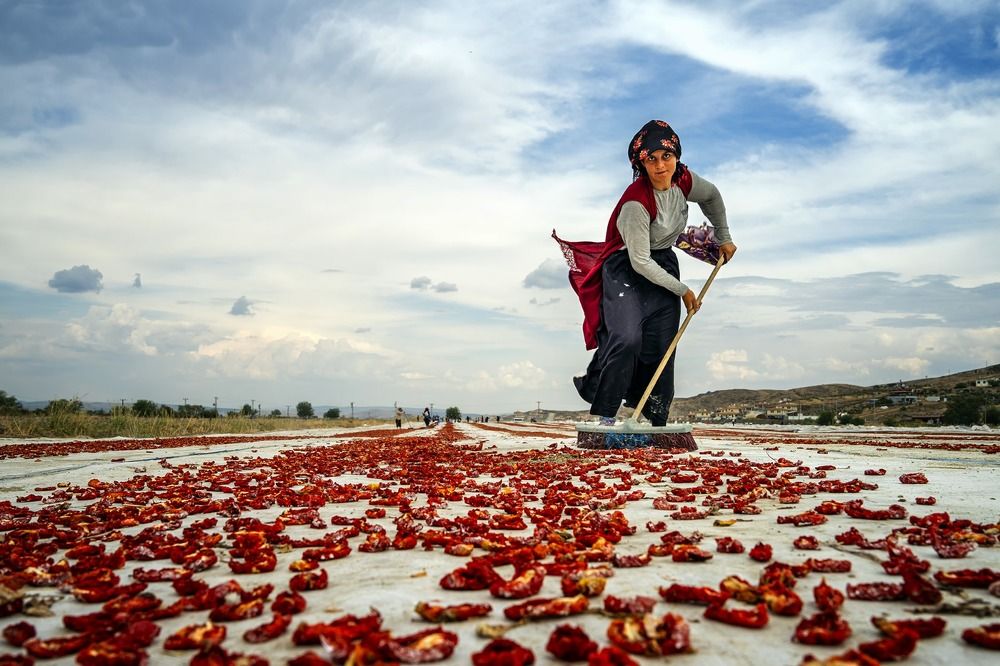 Фотография автора Fikriye Er