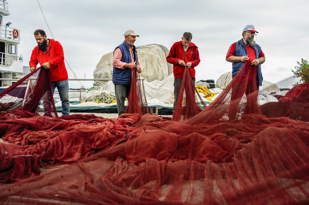 Фотография автора Fikriye Er