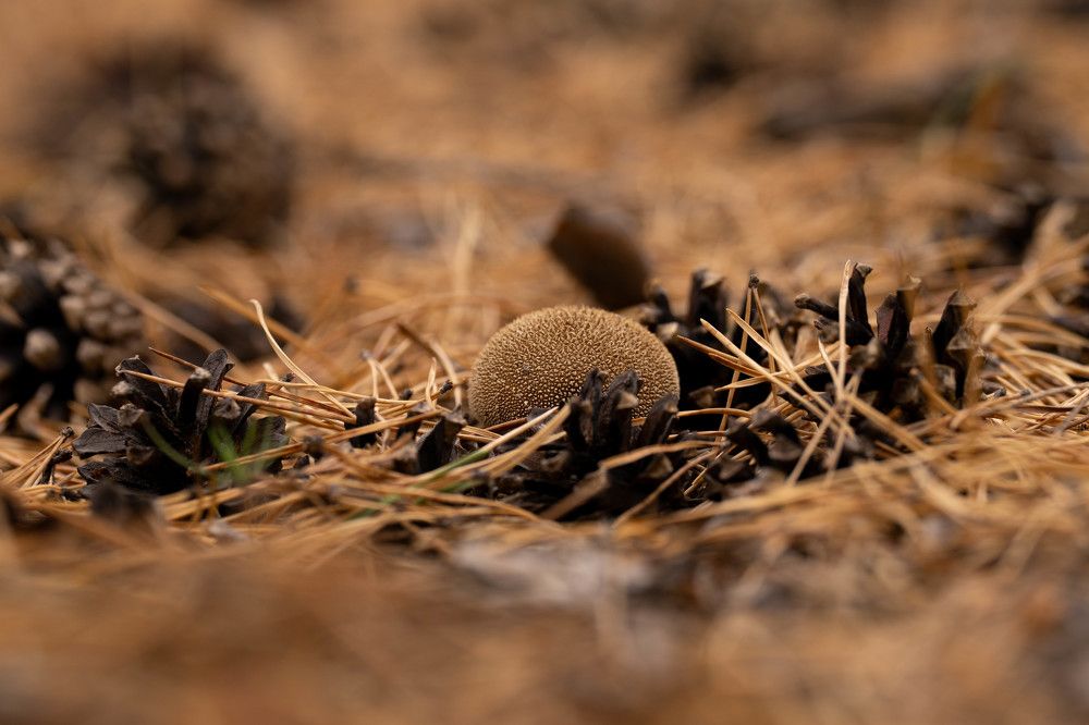 Photograph by Дарья Карамышева