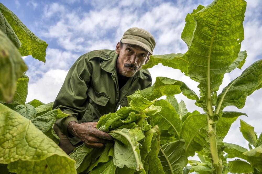 Фотография автора Fikriye Er