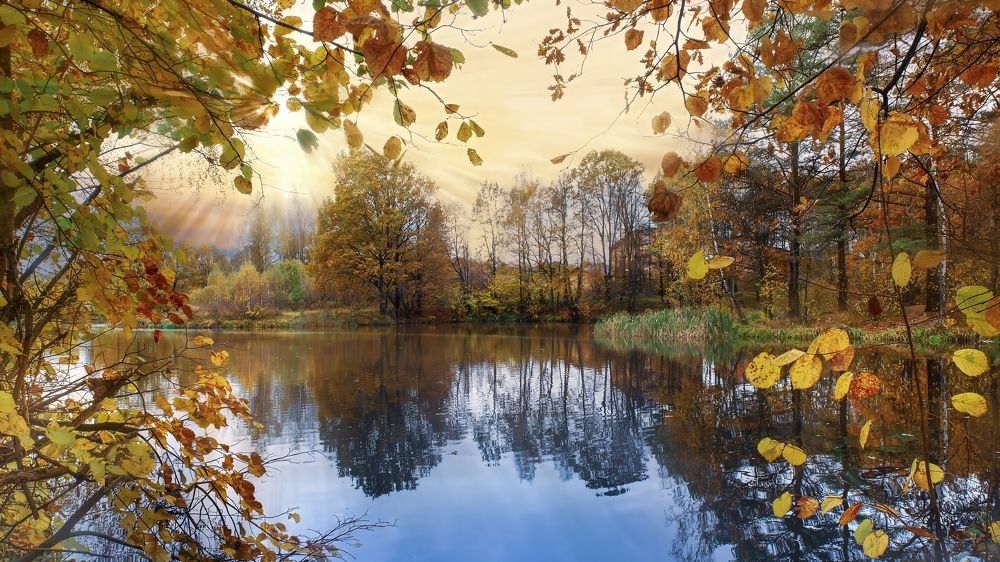 Photograph by Людмила Железнова