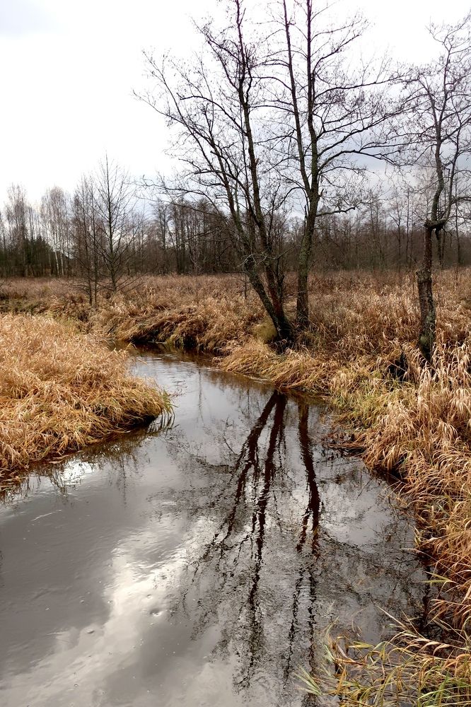 Photograph by Надежда Ткаченко