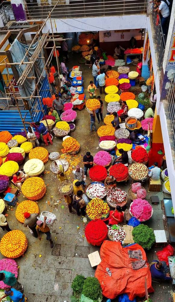 Фотография автора Bharath