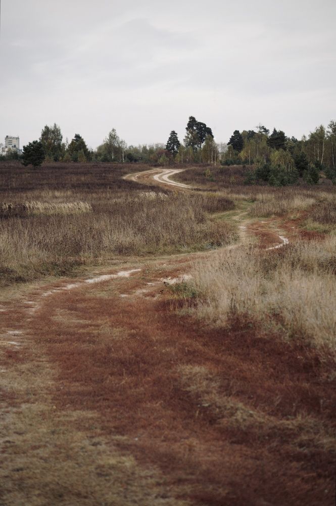 Photograph by Евстратова Оксана