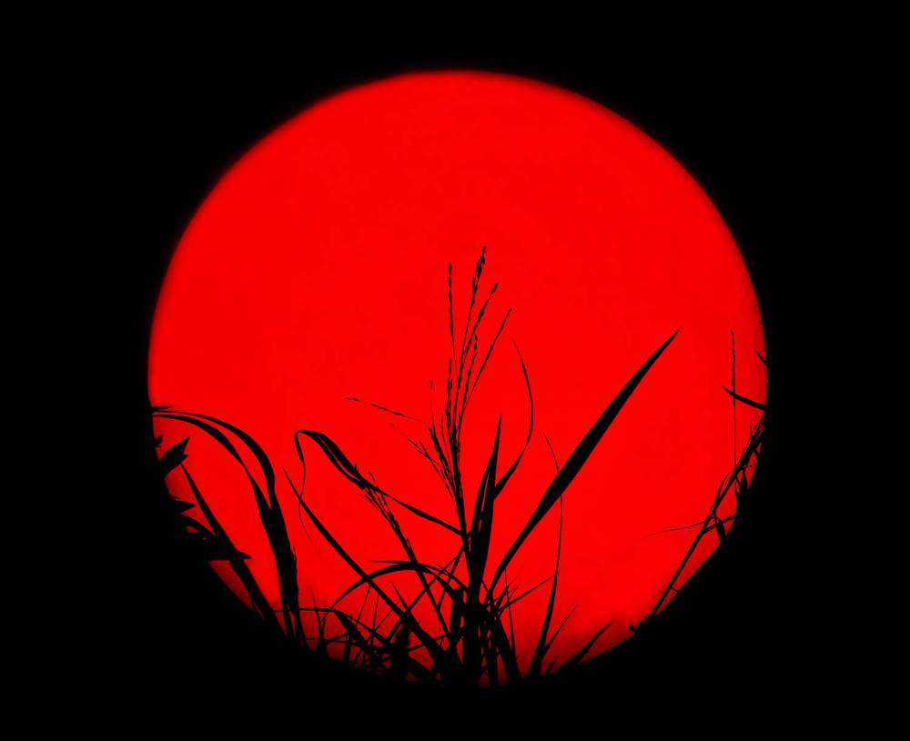 Photograph by Елена Барышева