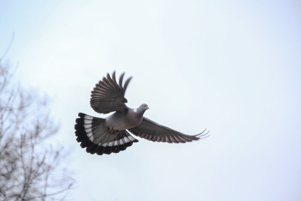 Photograph by Юлия Журавлёва