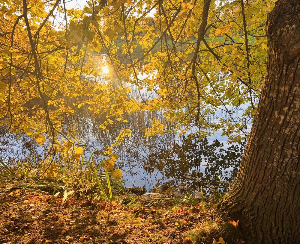 Photograph by Natalia Levenih